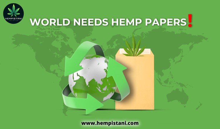 Best Hemp Seed Products in India